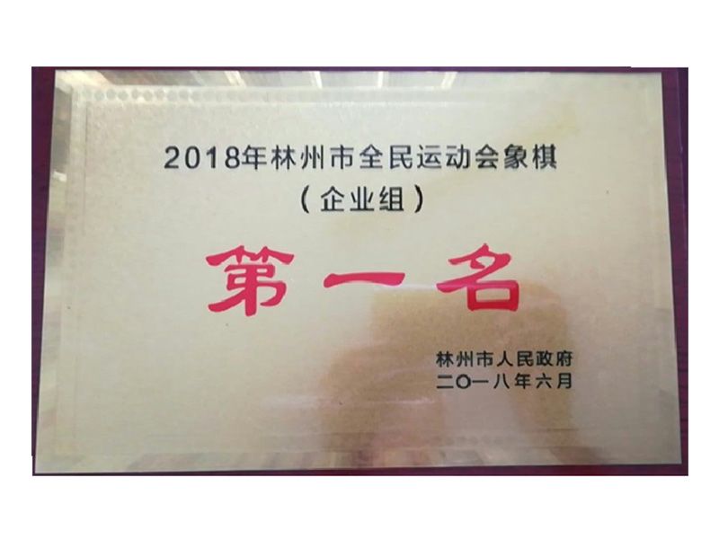 林州市全民 運動會企業(yè)組象棋第 一名