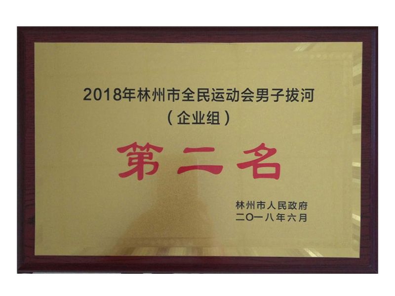 林州市全民 運(yùn)動會企業(yè)組男子拔河第二名