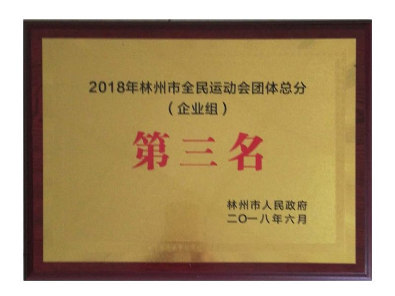 林州市全民 運動會企業(yè)組團(tuán)體總得分第三名